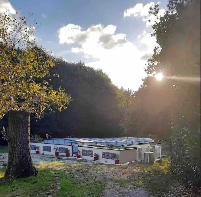 Gite Breizh Piscine Ou Jacuzzi Saint-Evarzec Holiday home