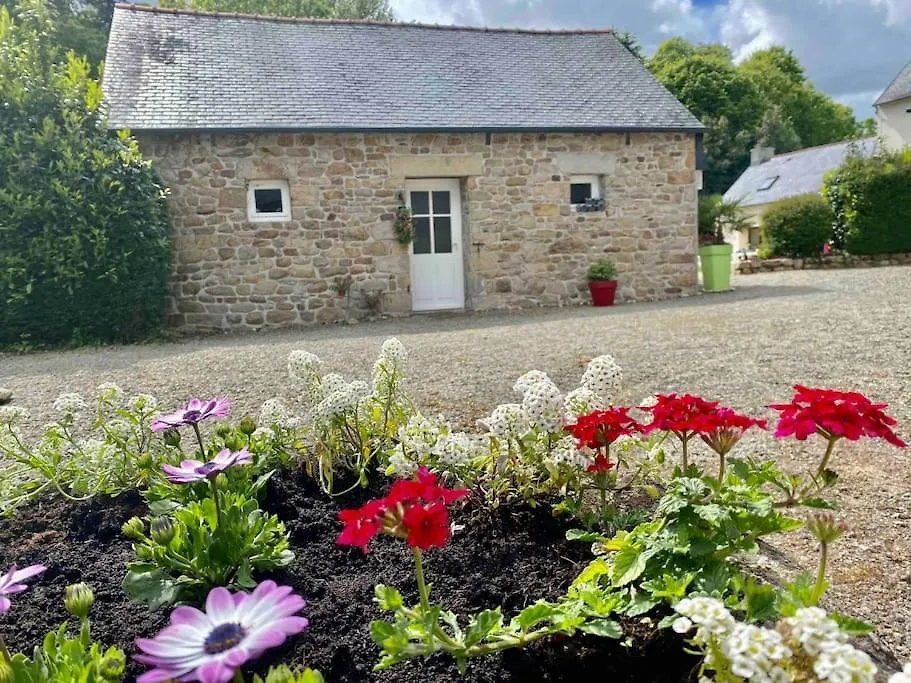 Gite Breizh Piscine Ou Jacuzzi Saint-Evarzec