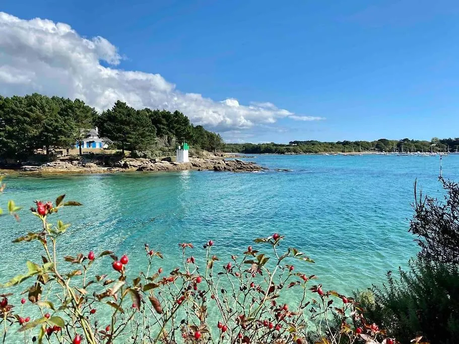 Дом отдыха Gite Breizh Piscine Ou Jacuzzi Saint-Evarzec